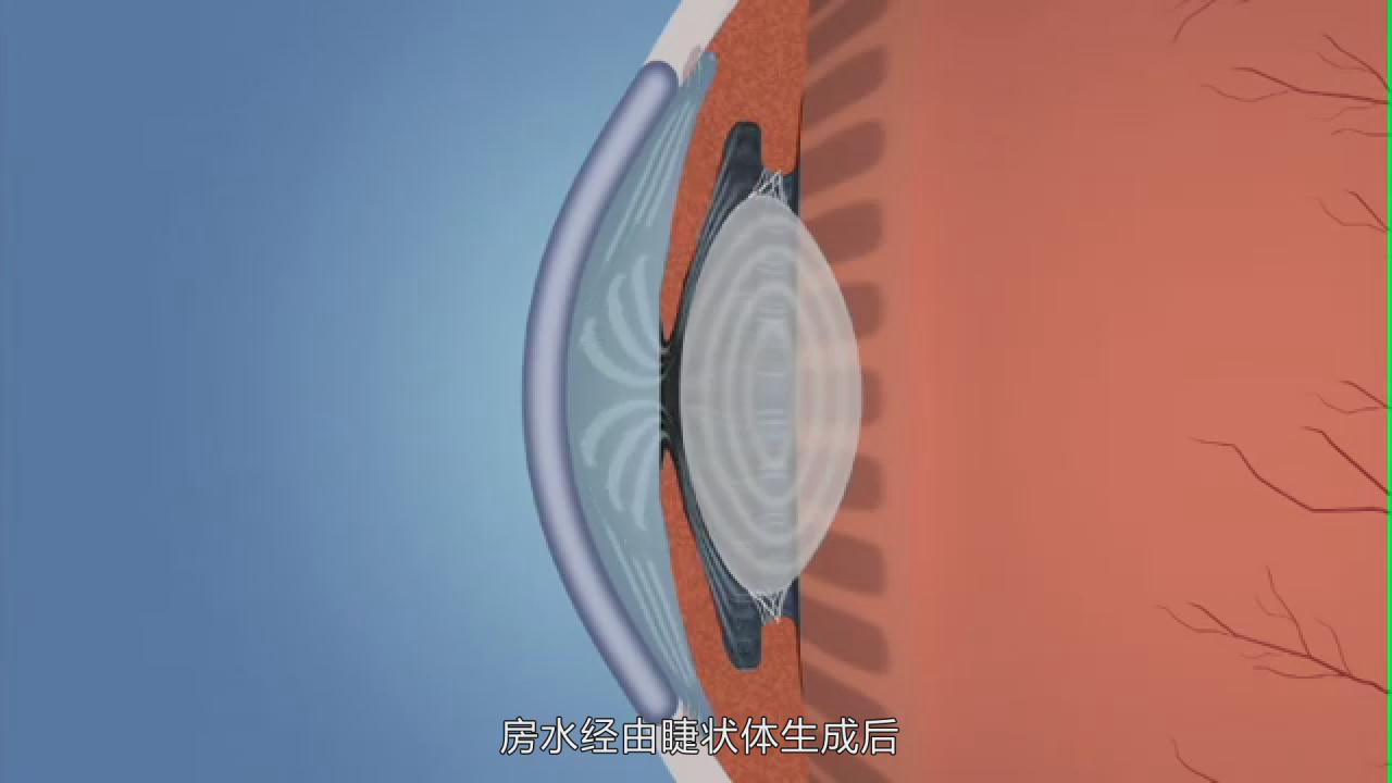 &#24320;&#20113;&#25163;&#26426;&#31449;&#20837;&#21475;&#45;&#24320;&#20113;&#40;&#20013;&#22269;&#41;