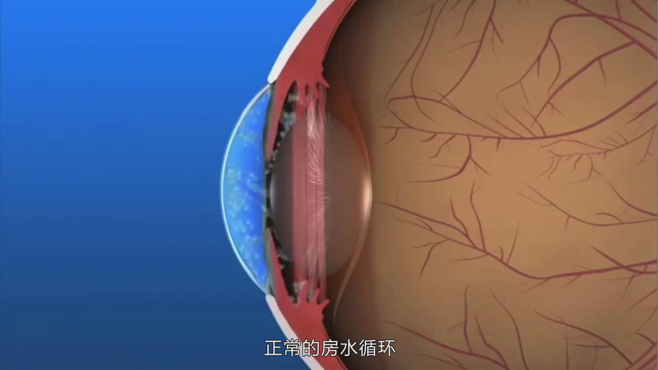 &#24320;&#20113;&#25163;&#26426;&#31449;&#20837;&#21475;&#45;&#24320;&#20113;&#40;&#20013;&#22269;&#41;