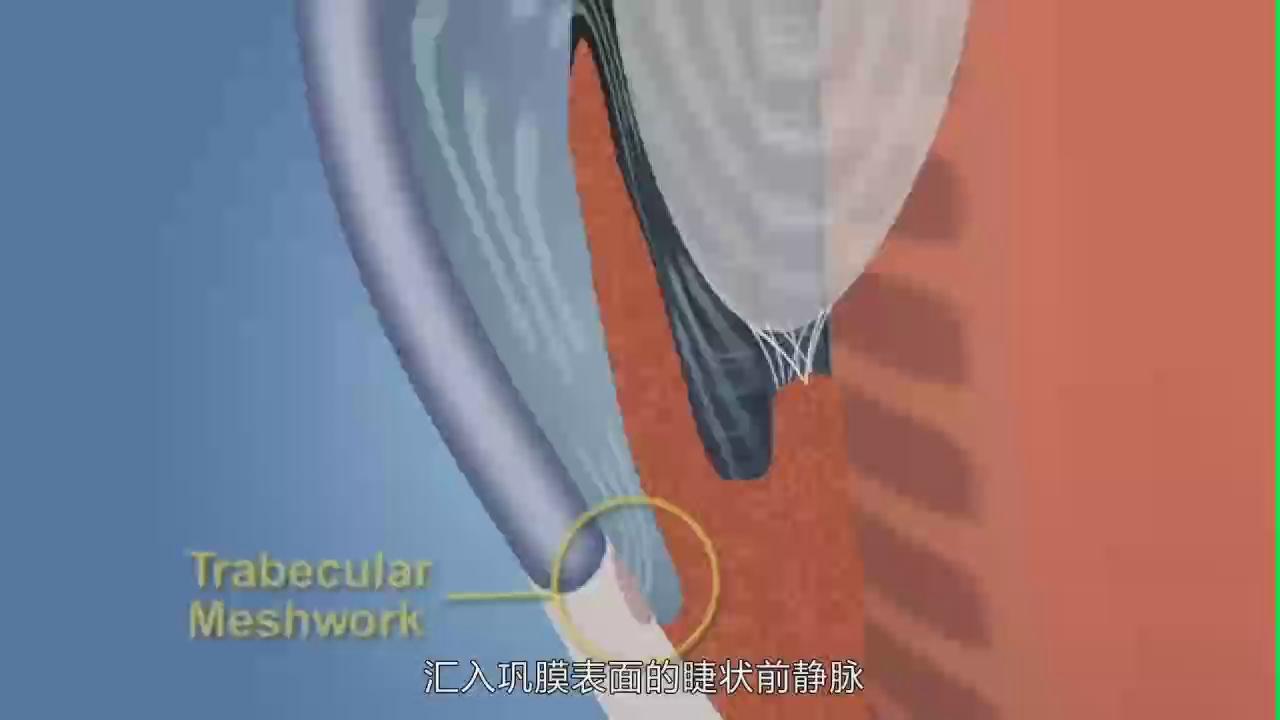 &#24320;&#20113;&#25163;&#26426;&#31449;&#20837;&#21475;&#45;&#24320;&#20113;&#40;&#20013;&#22269;&#41;